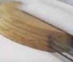 lo